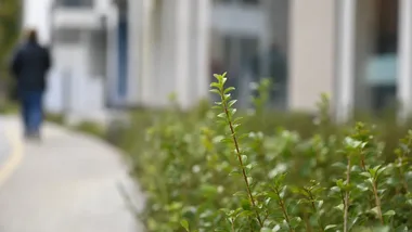 Plan dla Jankowickiej uchwalony. Mniej terenów produkcyjno-usługowych