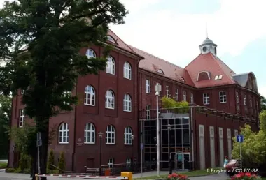 Utrudnienia na DW925 w Stanowicach – dwa dni prac nawierzchniowych