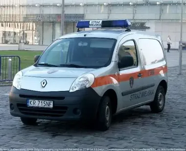 Kaczki w pułapce drzewa. Straż miejska ruszyła na ratunek
