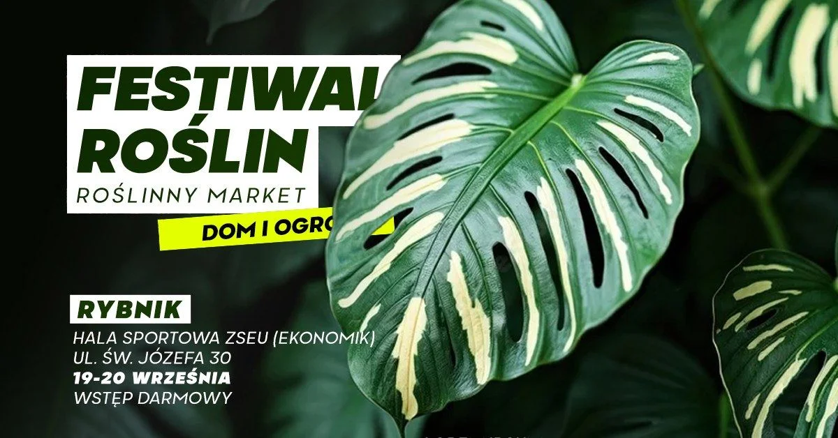 Grafika promocyjna wydarzenia Festiwal Roślin w Rybniku – wielki market