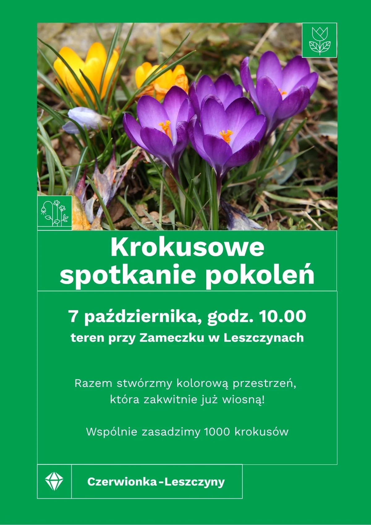Grafika promocyjna wydarzenia Krokusowe spotkanie pokoleń