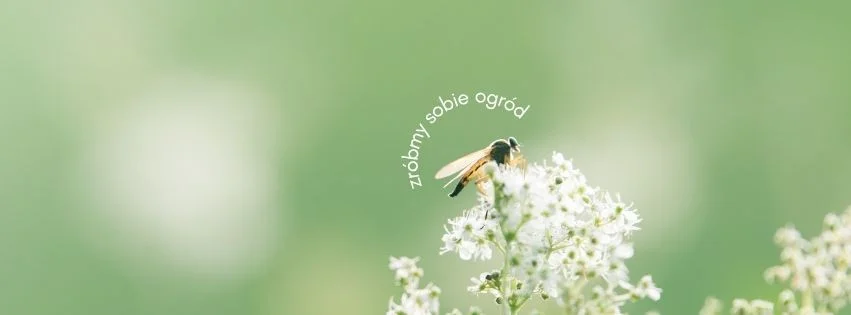 Grafika promocyjna wydarzenia Warsztaty sadzenia roślin użytkowych w Rybniku