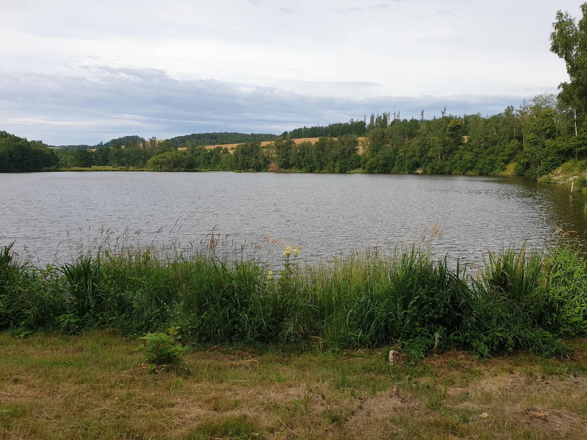 Grafika promocyjna wydarzenia Zawody wędkarskie Carp Cup na Tylovskim stawie jesienią 2025