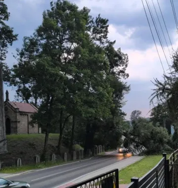 Tysiące bez prądu po burzy. Strażacy z Czerwionki-Leszczyn mieli 60 interwencji