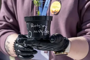 Lawenda na rynku i ważny apel o rodzicielstwo zastępcze w Rybniku