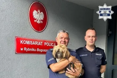 Pies był przywiązany do drzewa w lesie. Pomogli mu dzielnicowi