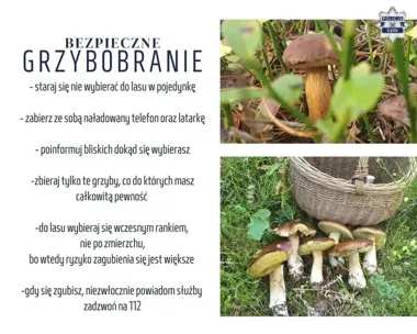 Grzybobranie w śląskich lasach. Policja ostrzega przed niewypałami