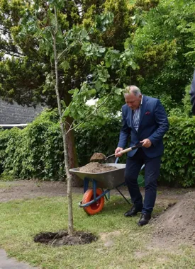 Dąb Pamięci przy SP7. Szkoła dołączyła do śląskiej rocznicy